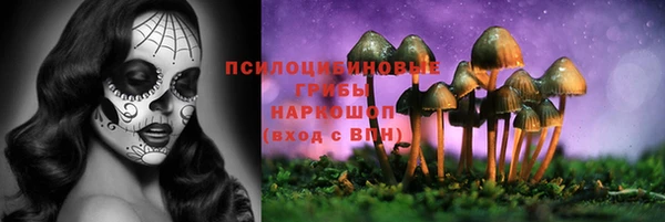 прущий лед Нефтегорск